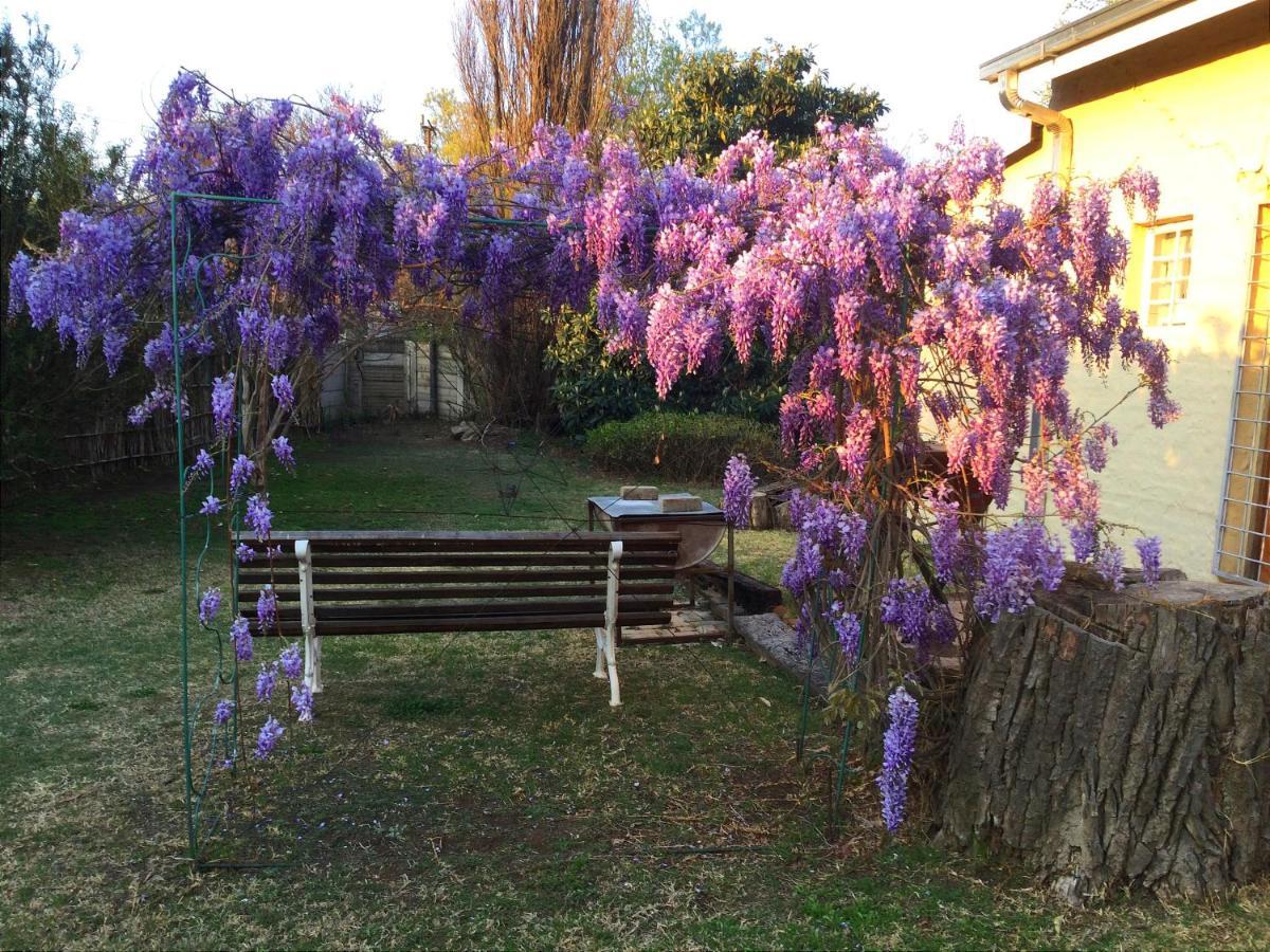 Rheola's Guest Cottage Harrismith Extérieur photo